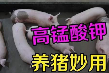 福尔马林与高锰酸钾浸种哪个好