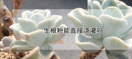 生根粉的配比浓度