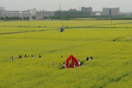 铁岭万亩花海票价