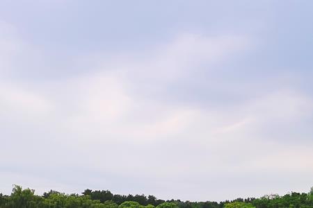 盛夏到凉秋是什么意思