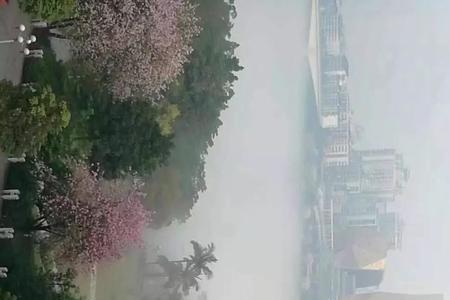 平流雾预示什么