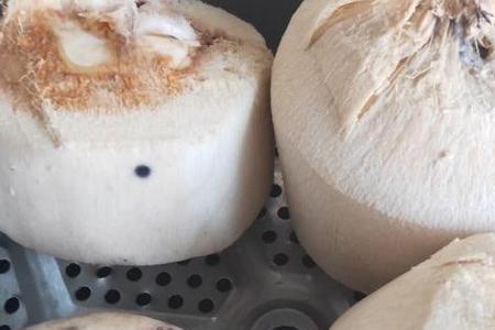 椰子肉滑滑的是坏了吗