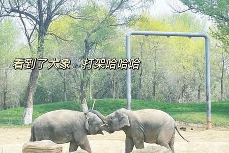 北京野生动物园能带方便面吗