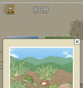 旅行青蛙相册上限怎么解决