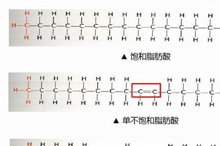 为什么含有双键的分子不饱和