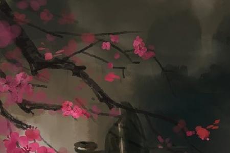 夜华原型