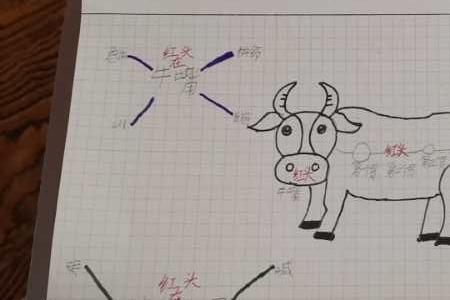 在牛肚子里旅行名言名句