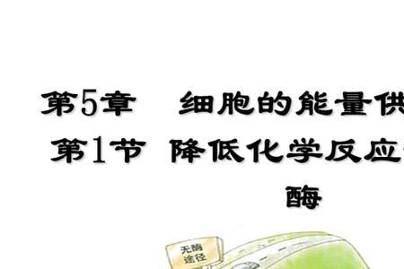 怎么判断活化能