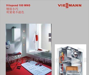 菲斯曼壁挂炉f01是什么意思