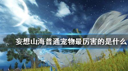 妄想山海鲛人侍从哪个值得培养