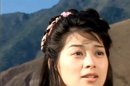 97版天龙八部杏子林哪一集