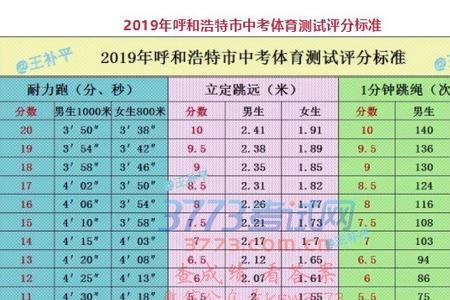 邵阳市中考体育跳绳标准