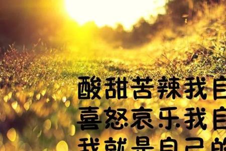 人生求缺不求满经典语录