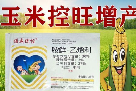 苄氨乙烯利对玉米的作用
