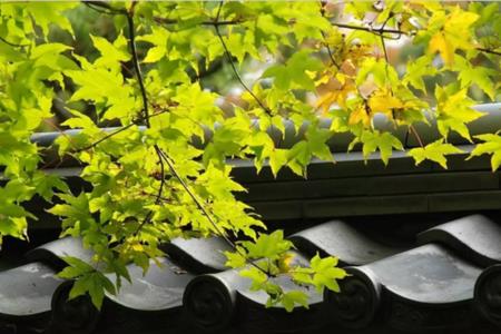 惟学以立身，明哲以致远什么意思