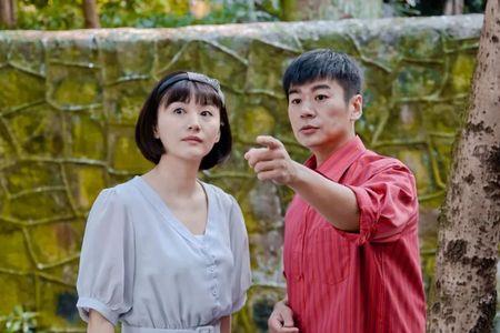 国民好女婿的意思