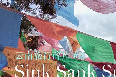 sunk和sink的区别