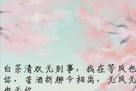 相思入骨对联