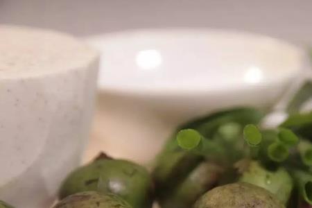 仁面果介绍