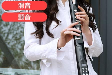 国产电吹管十大排名