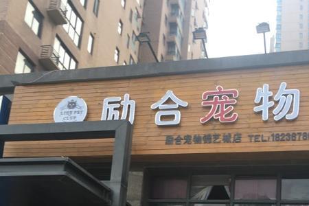 郑州宠物推荐