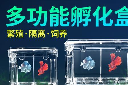 孔雀鱼繁殖盒留多大孔