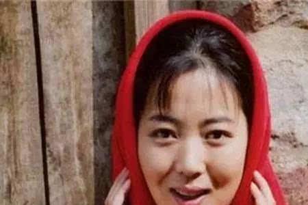 村里一枝花下句怎么接