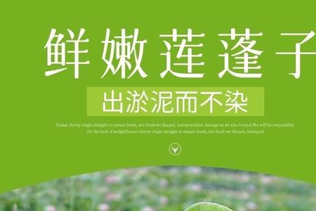 嫩莲子可以种植吗