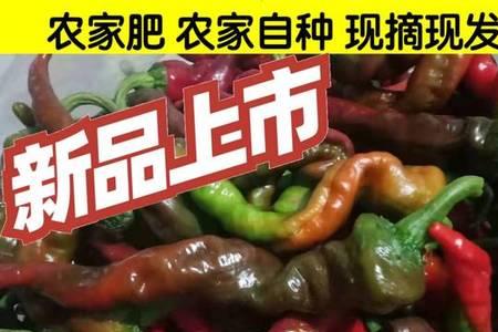螺丝椒辣不辣
