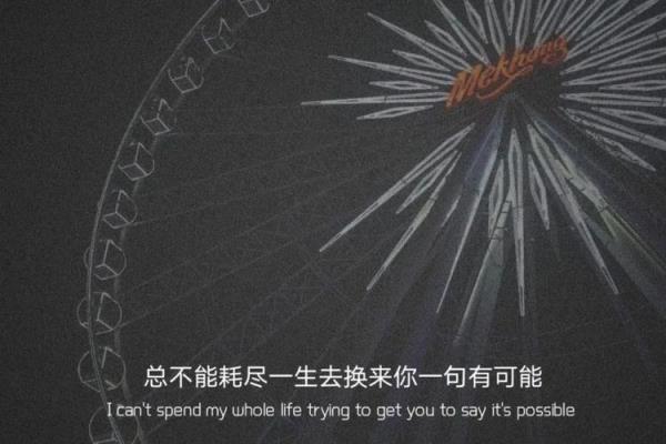 地上的影子文案