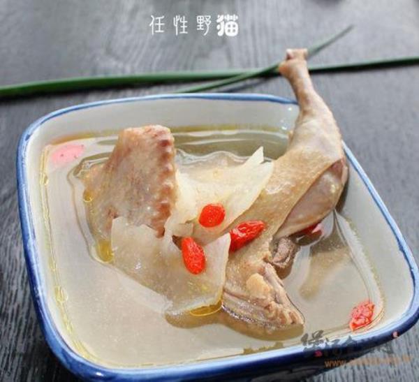 白鸽的家常做法