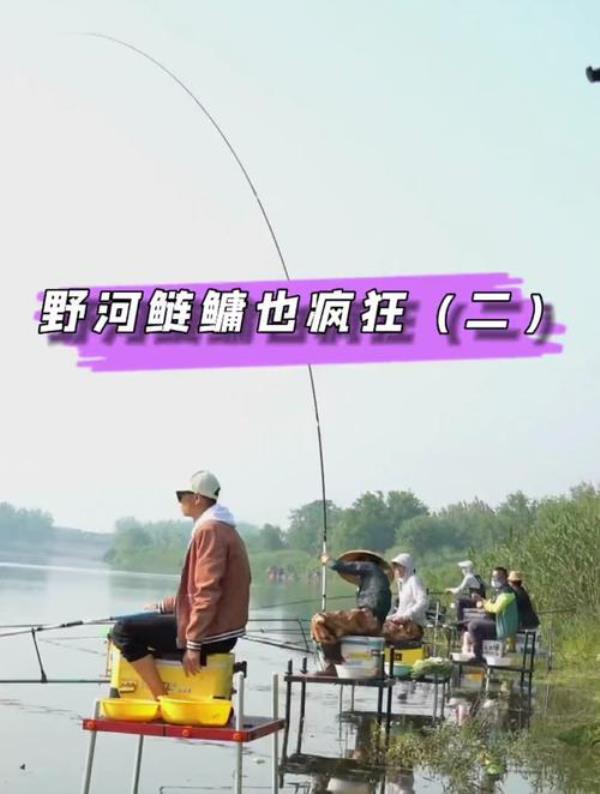 越南野河有鲢鳙吗