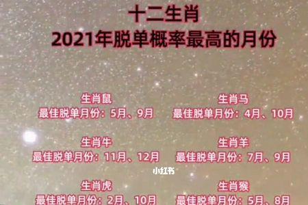 2021年12月9日十二生肖穿衣指南