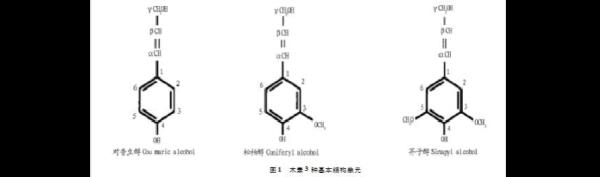 在化学里面的MS是什么意思