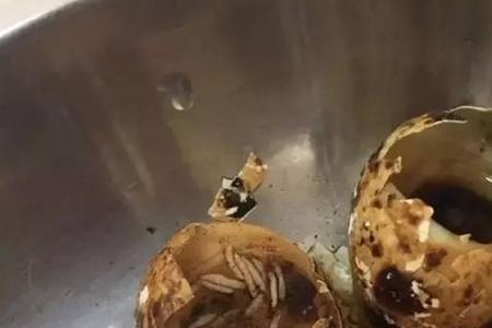 花生米长蛆怎么回事