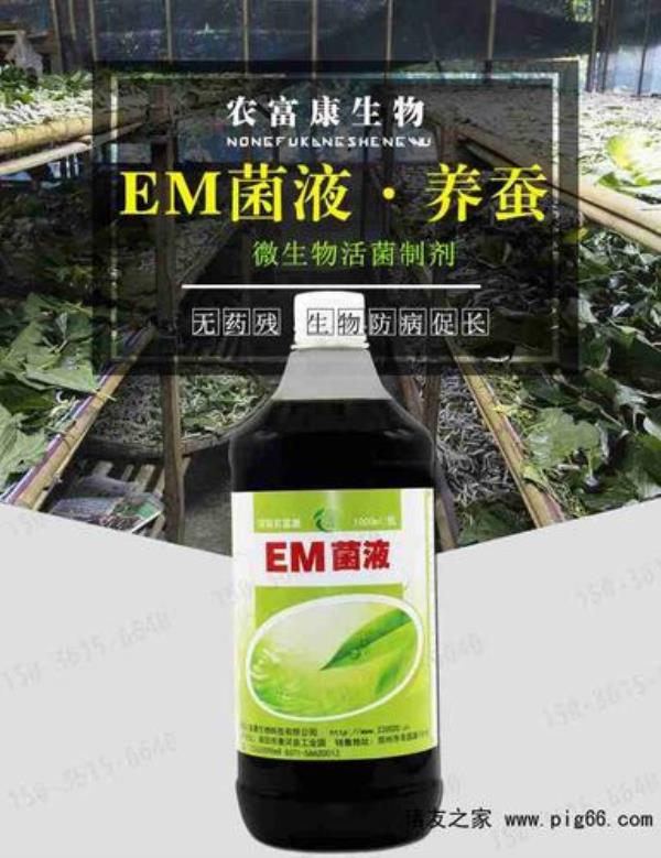em菌液如何自制
