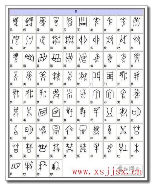 甲骨文的甲组什么词