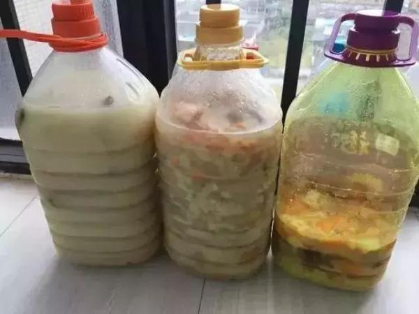 淘米水发酵了是什么样的