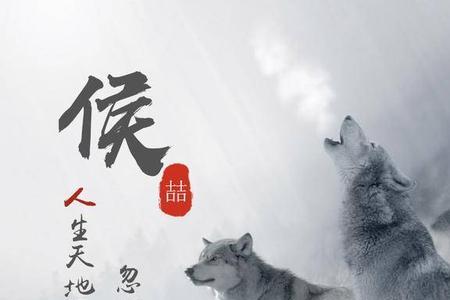 姓氏图腾头像好吗