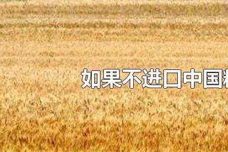 私人如何进口粮食