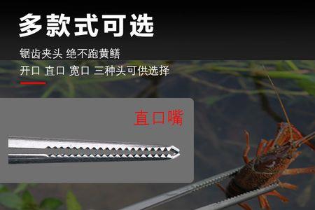 电黄鳝泥鳅开关按多少时间再好