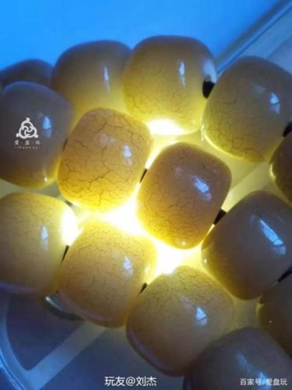 菩提根12岁可以玩吗