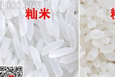 粳米是什么米籼米是什么米