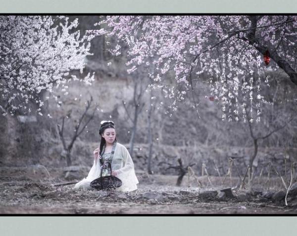 葬花吟配什么花最好