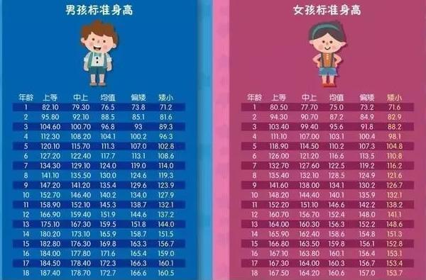男女生身高最佳配对表