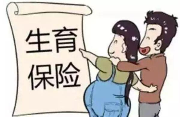 五年生育险能报销多少
