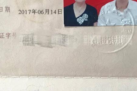 真爱证书哪里看