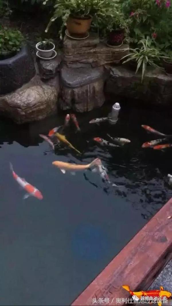 鱼池一吨水需要多大水泵过滤