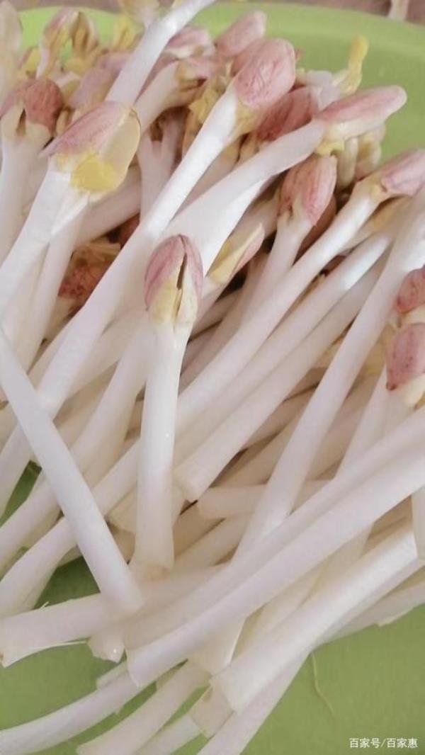 花生芽栽培技术