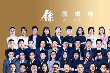 镖局新任务秦棉夏英结局